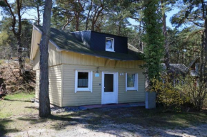 Strandhaus Dünenweg 62 mit Terrasse, Sauna und Kamin, Baabe